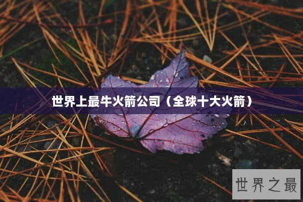 世界上最牛火箭公司（全球十大火箭）