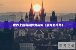 世界上最奇葩摔角姿势（最好的摔角）