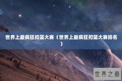世界上最疯狂扣篮大赛（世界上最疯狂扣篮大赛排名）