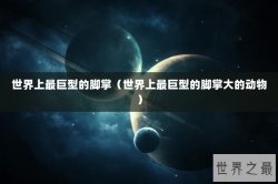 世界上最巨型的脚掌（世界上最巨型的脚掌大的动物）