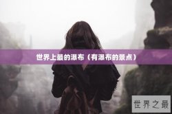 世界上最的瀑布（有瀑布的景点）