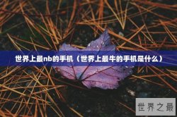 世界上最nb的手机（世界上最牛的手机是什么）