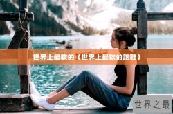 世界上最软的（世界上最软的跑鞋）