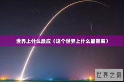 世界上什么最应（这个世界上什么最容易）