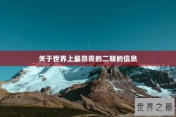 关于世界上最昂贵的二胡的信息