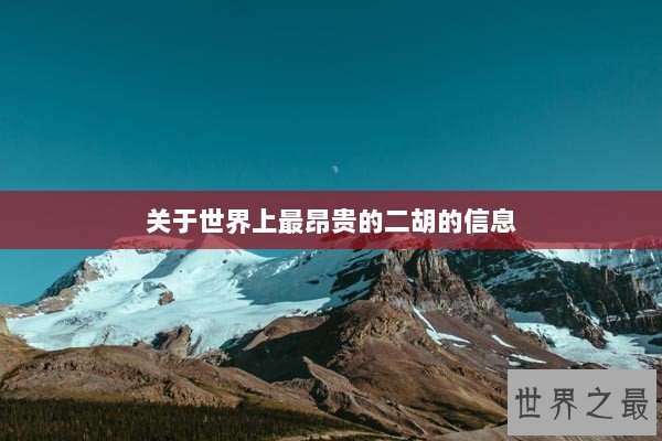 关于世界上最昂贵的二胡的信息