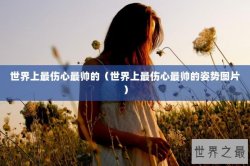 世界上最伤心最帅的（世界上最伤心最帅的姿势图片）