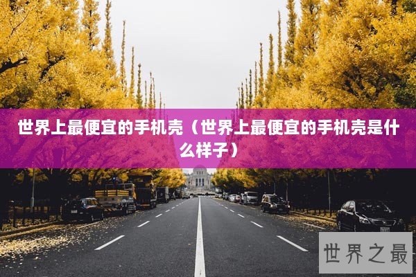 世界上最便宜的手机壳（世界上最便宜的手机壳是什么样子）