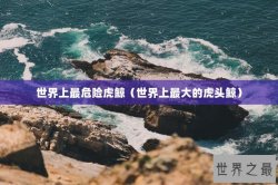 世界上最危险虎鲸（世界上最大的虎头鲸）