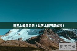 世界上最乖的狗（世界上最可爱的狗）