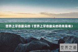 世界上牙齿最尖的（世界上牙齿最尖的恐龙是谁）