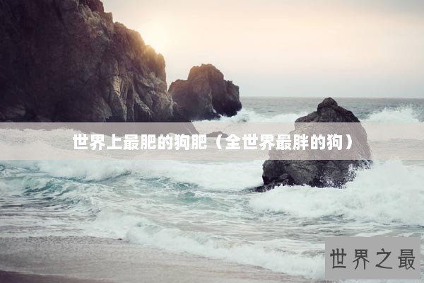 世界上最肥的狗肥（全世界最胖的狗）