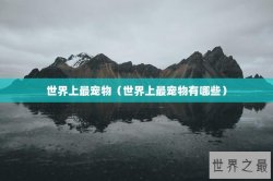 世界上最宠物（世界上最宠物有哪些）