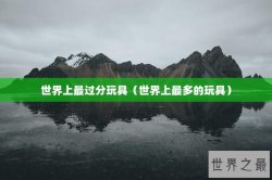 世界上最过分玩具（世界上最多的玩具）