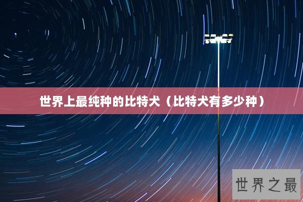 世界上最纯种的比特犬（比特犬有多少种）