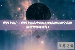 世界上最产（世界上最高大最年轻的高原是哪个高原被誉为世界屋脊）