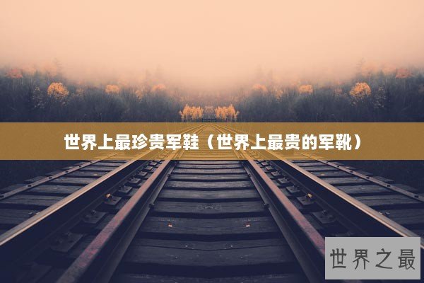 世界上最珍贵军鞋（世界上最贵的军靴）