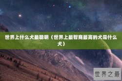 世界上什么犬最聪明（世界上最智商最高的犬是什么犬）