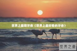 世界上最萌牙齿（世界上最好看的牙齿）
