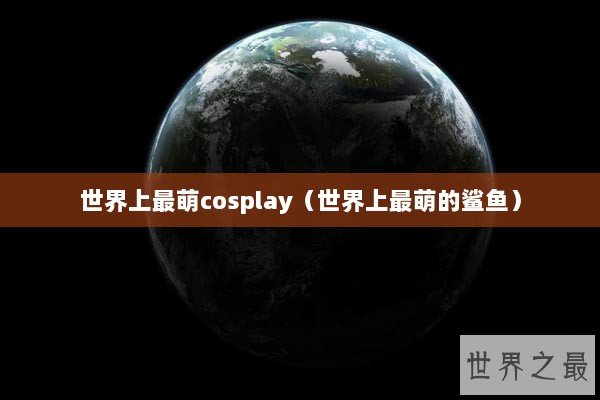 世界上最萌cosplay（世界上最萌的鲨鱼）