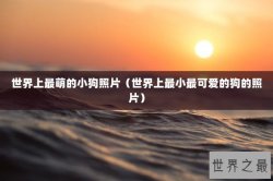 世界上最萌的小狗照片（世界上最小最可爱的狗的照片）