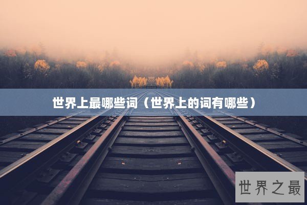 世界上最哪些词（世界上的词有哪些）