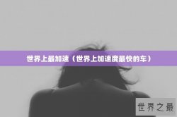 世界上最加速（世界上加速度最快的车）