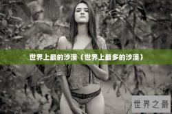 世界上最的沙漠（世界上最多的沙漠）