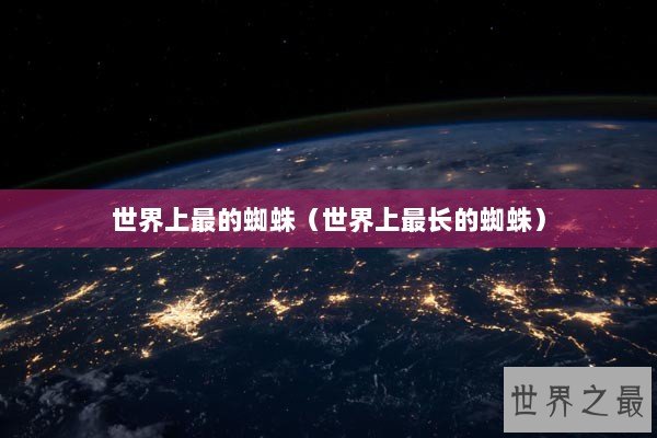 世界上最的蜘蛛（世界上最长的蜘蛛）