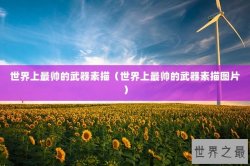 世界上最帅的武器素描（世界上最帅的武器素描图片）