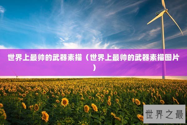 世界上最帅的武器素描（世界上最帅的武器素描图片）