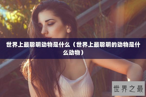 世界上最聪明动物是什么（世界上最聪明的动物是什么动物）