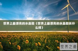 世界上最漂亮的水晶鞋（世界上最漂亮的水晶鞋长什么样）