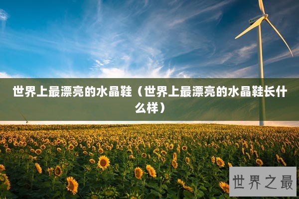 世界上最漂亮的水晶鞋（世界上最漂亮的水晶鞋长什么样）