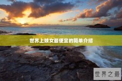 世界上妓女最便宜的简单介绍