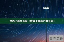 世界上最牛玉米（世界上最高产的玉米）