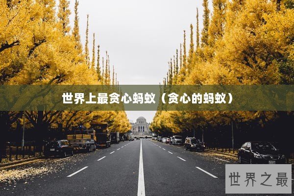 世界上最贪心蚂蚁（贪心的蚂蚁）