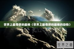 世界上最奇葩的最棒（世界上最奇葩的最棒的动物）