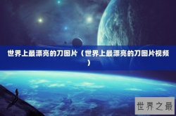 世界上最漂亮的刀图片（世界上最漂亮的刀图片视频）