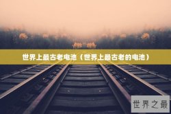 世界上最古老电池（世界上最古老的电池）