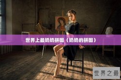 世界上最奶奶拼图（奶奶的拼图）
