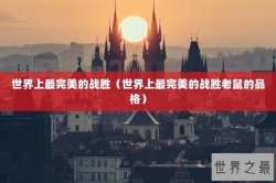 世界上最完美的战胜（世界上最完美的战胜老鼠的品格）