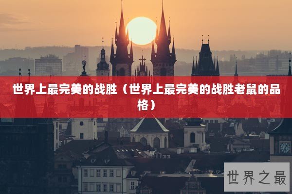 世界上最完美的战胜（世界上最完美的战胜老鼠的品格）