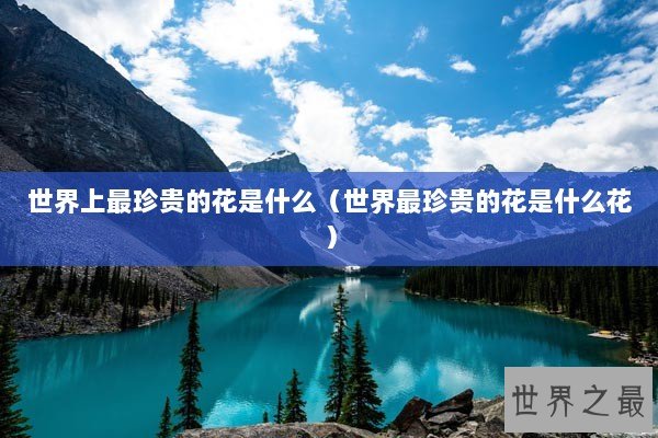 世界上最珍贵的花是什么（世界最珍贵的花是什么花）