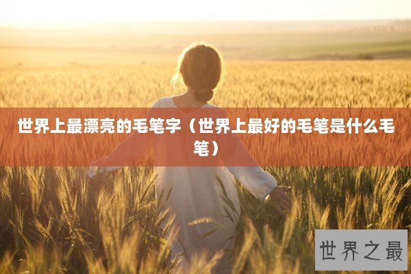 世界上最漂亮的毛笔字（世界上最好的毛笔是什么毛笔）
