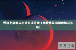 世界上最柔软的路阅读答案（柔软地带阅读理解及答案）
