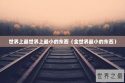世界上最世界上最小的东西（全世界最小的东西）