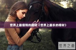 世界上最值钱的棺材（世界上最长的棺材）