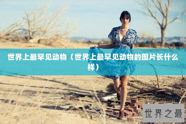 世界上最罕见动物（世界上最罕见动物的图片长什么样）