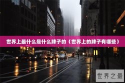 世界上最什么是什么牌子的（世界上的牌子有哪些）